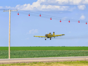 Pentingnya Peringatan Visual pada Jaringan Listrik: Melindungi Manusia dan Burung dari Bahaya Power Line